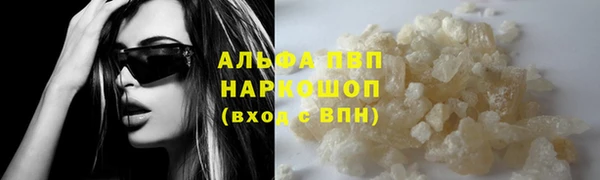ПСИЛОЦИБИНОВЫЕ ГРИБЫ Рославль
