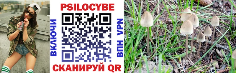 Галлюциногенные грибы мухоморы  blacksprut ONION  Старица 